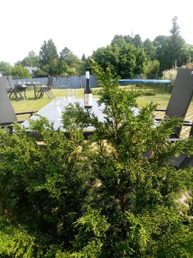 Apartmany Kohoutek A Slepicka V Novohradskych Horach Nové Hrady Εξωτερικό φωτογραφία